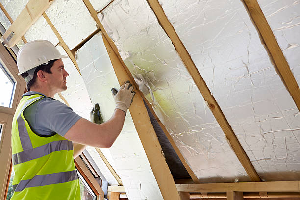 Best Insulation Maintenance and Repair in Albers, IL
