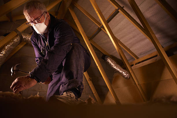 Best Commercial Insulation in Albers, IL